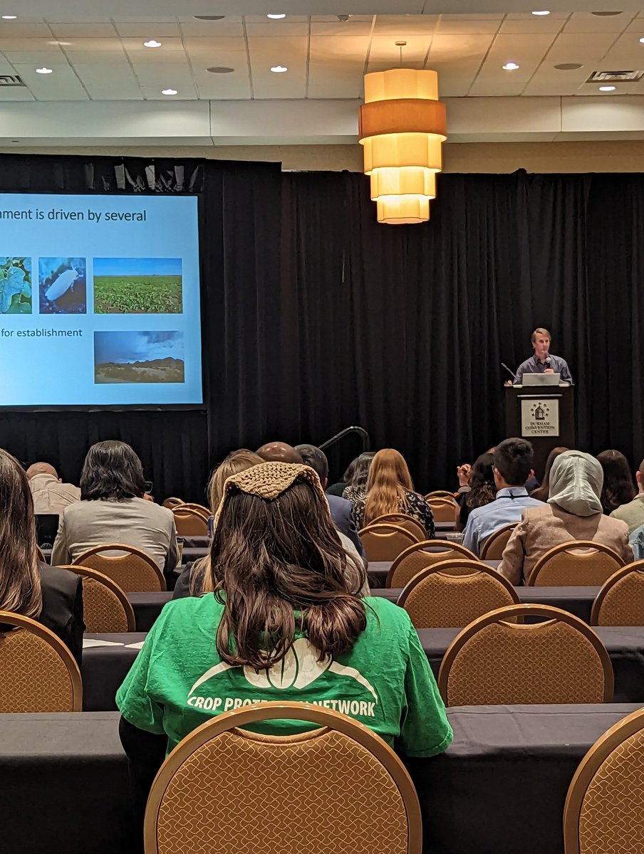 Bill Wintermantel describing the competitiveness of white fly transmitted yellowing viruses