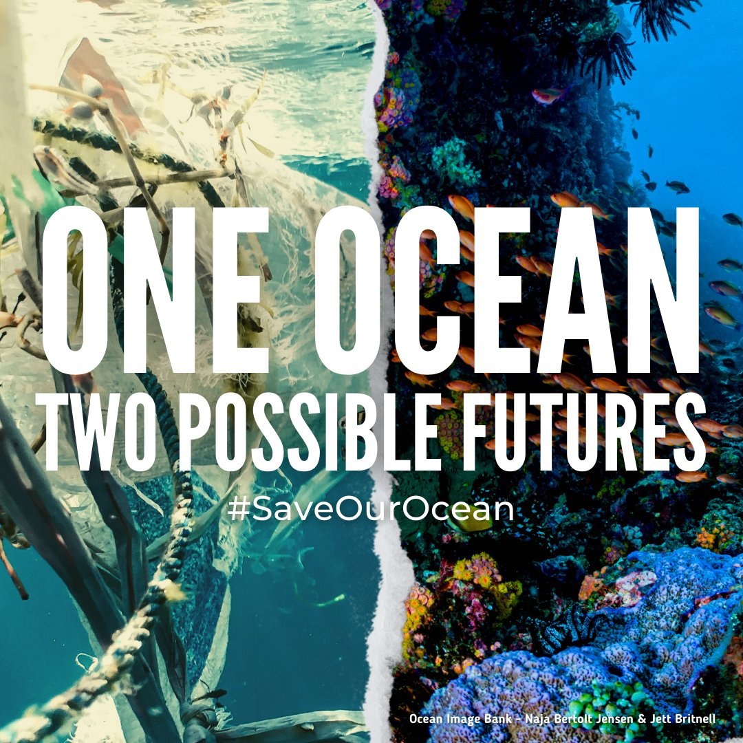 UNGeneva's tweet photo. Everyone can be part of the solution. And, we can turn the tide if we #ActNow.
How to help? Check out 5 actions you can take to #SaveOurOcean: https://t.co/BbWIeftiIN
#SDG14 #OnePlanetOneOcean 🌎💙🌊 https://t.co/l2suW6gtCB