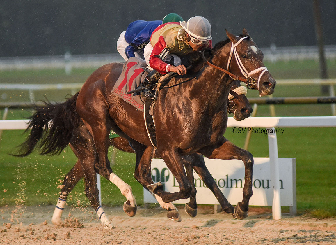 theTDN's tweet photo. Let's hear it for LITIGATE (Blame)! @Centennial_Farm's 3YO colt was a bright light in an otherwise rainy Saturday at @TampaBayDownsFL, winning the GIII Sam F. Davis and earning 20 points on the Road to the @KentuckyDerby. Read more about him in today's edition of TDN America 👇 https://t.co/7V6tbbc0ph