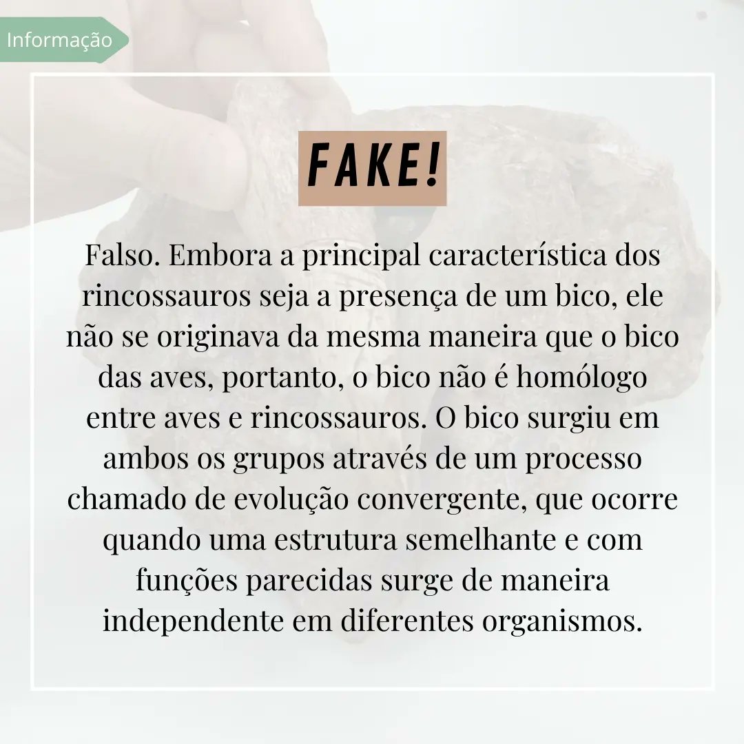cappaufsm's tweet photo. É Fake! https://t.co/lF2gD99yQf