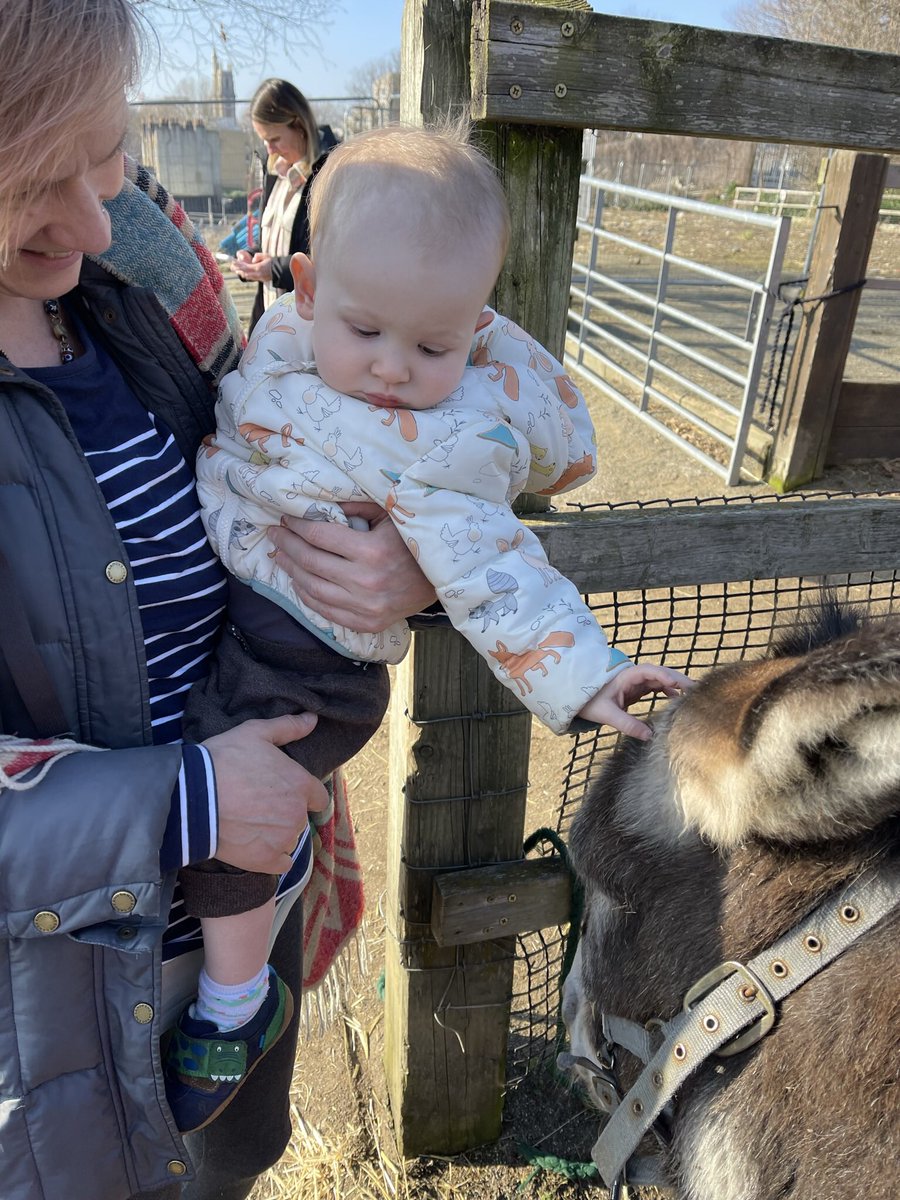 KTCityFarm's tweet photo. Halfway through #HalfTerm🐷It might not be as sunny tmrw, but if you come &amp; meet the #goats 11.30-12.30pm, you won’t care!🐐Scavenger Hunt too 🔍 All freeeeee 🎉#whatson #londonforfree #farmlife #ThursdayMotivation @TimeOutLondon @NewJournal https://t.co/TpkrJAaukH