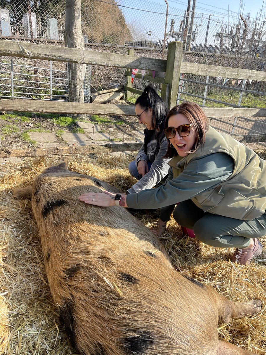 KTCityFarm's tweet photo. Halfway through #HalfTerm🐷It might not be as sunny tmrw, but if you come &amp; meet the #goats 11.30-12.30pm, you won’t care!🐐Scavenger Hunt too 🔍 All freeeeee 🎉#whatson #londonforfree #farmlife #ThursdayMotivation @TimeOutLondon @NewJournal https://t.co/TpkrJAaukH