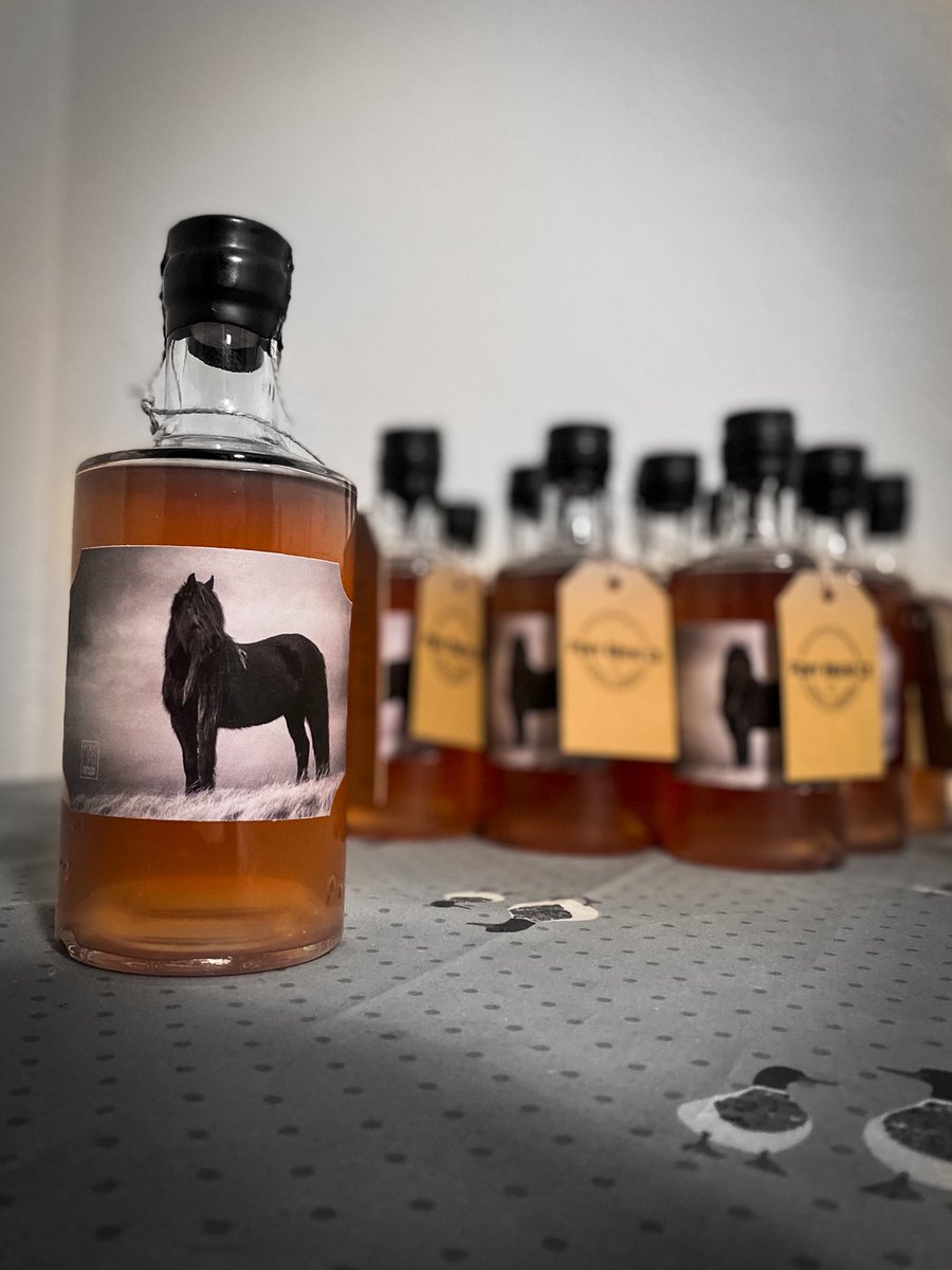 RuthOnTheHoof's tweet photo. I’m excited to announce my collaboration with @PonyBrewco on this limited edition rhubarb and custard flavoured vodka. They are a local not-for-profit micro distillery who support the rare Fell pony breed with their wonderful beverages 🐴🍸 https://t.co/tgPySVKFTJ https://t.co/Zf7EYAcWhZ