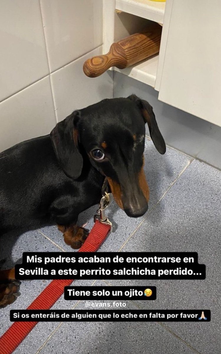 Si alguien sabe de algo🙏