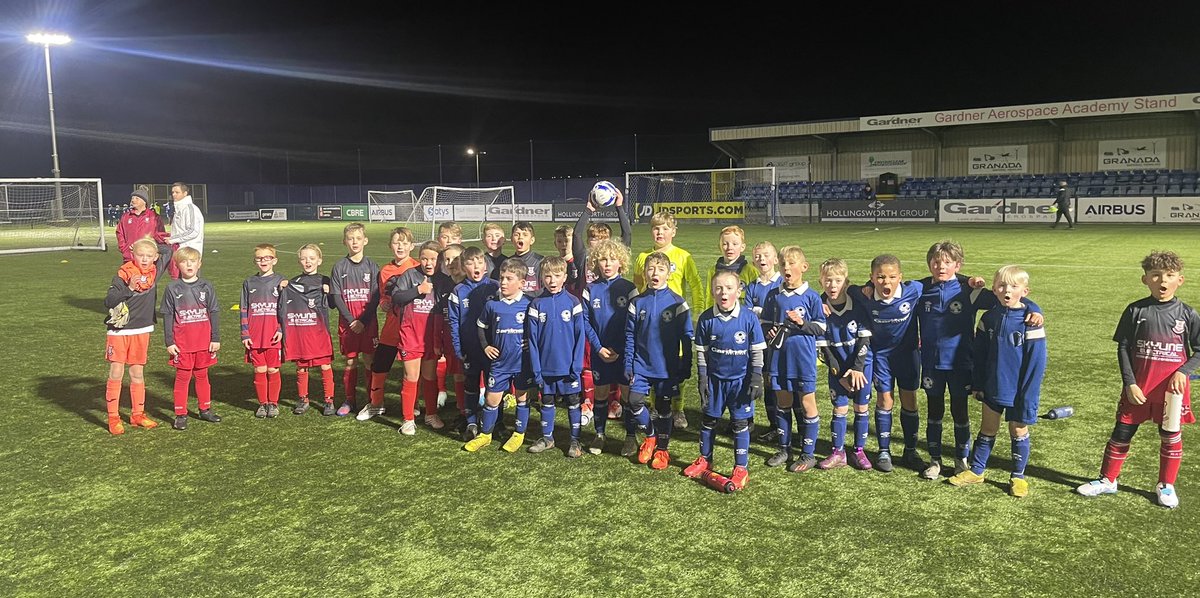 peter sutton tweet media