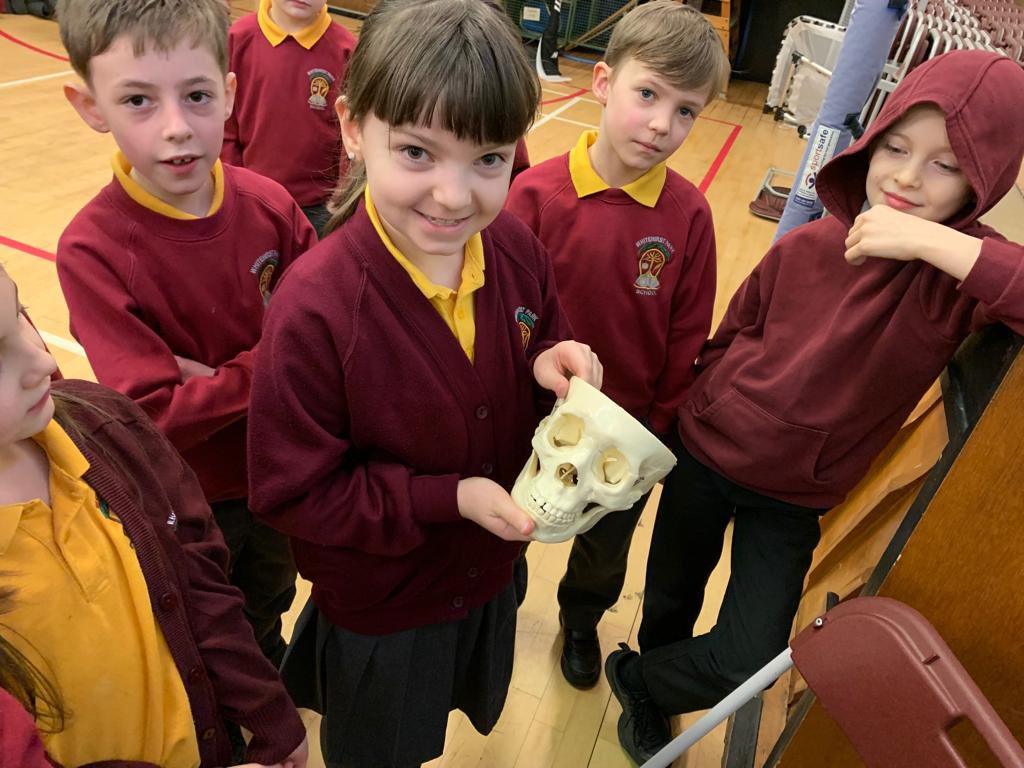 WhitehirstPs's tweet image. A few more of Primary 3 and 4 💫 #worldofworkweek #thankyou