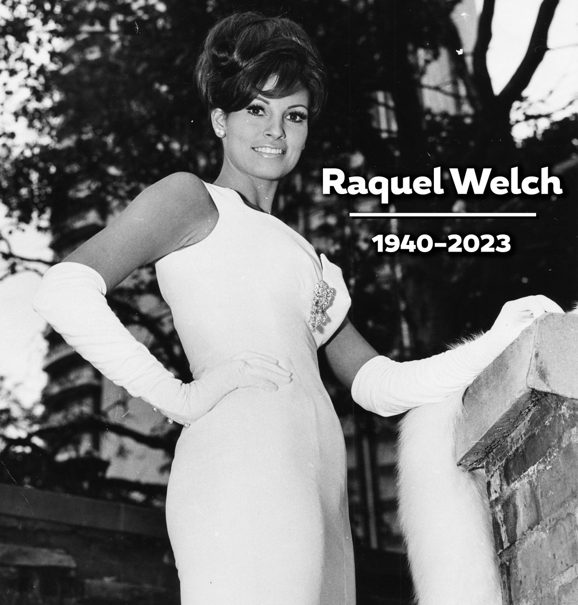 NPRoye's tweet photo. Raquel Welch, born Jo Raquel Tejada, has died at the age of 82.

''Latinos are here to stay,'' Raquel told an audience at a 2002 National Press Club luncheon. ''As citizen Raquel, I'm proud to be Latina.'' https://t.co/dxvRUdudZY