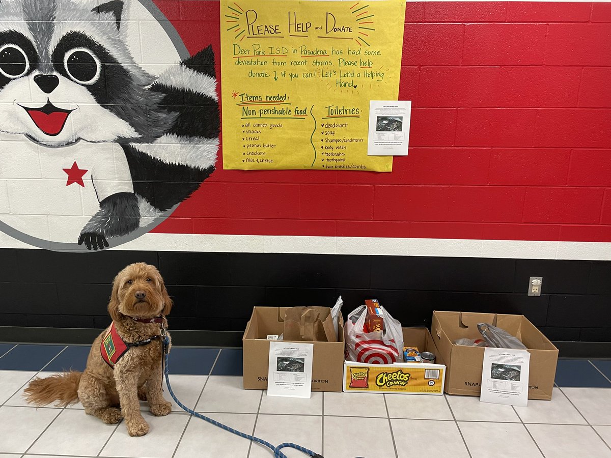 George the Comfort Dog tweet media