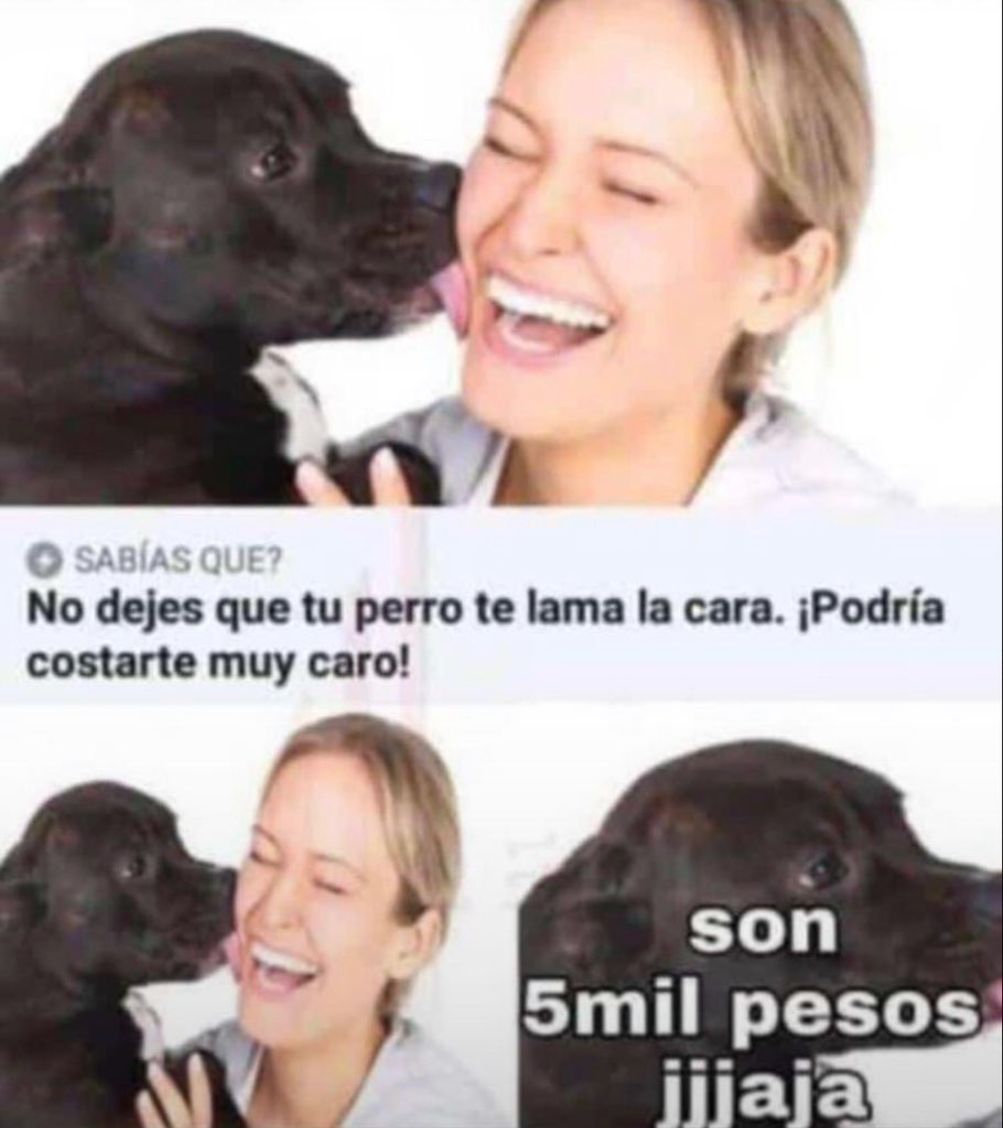 MEMES_RANDOM tweet media
