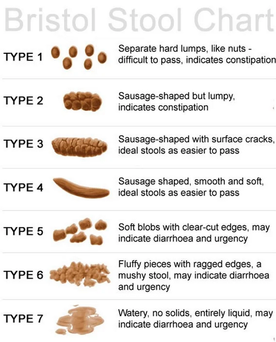 Studying Medicine on Twitter "Constipation MCCs hypothyroid, DM, meds