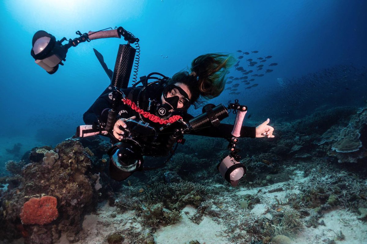 PADI on Twitter "Who's dreaming of an underwater photographer