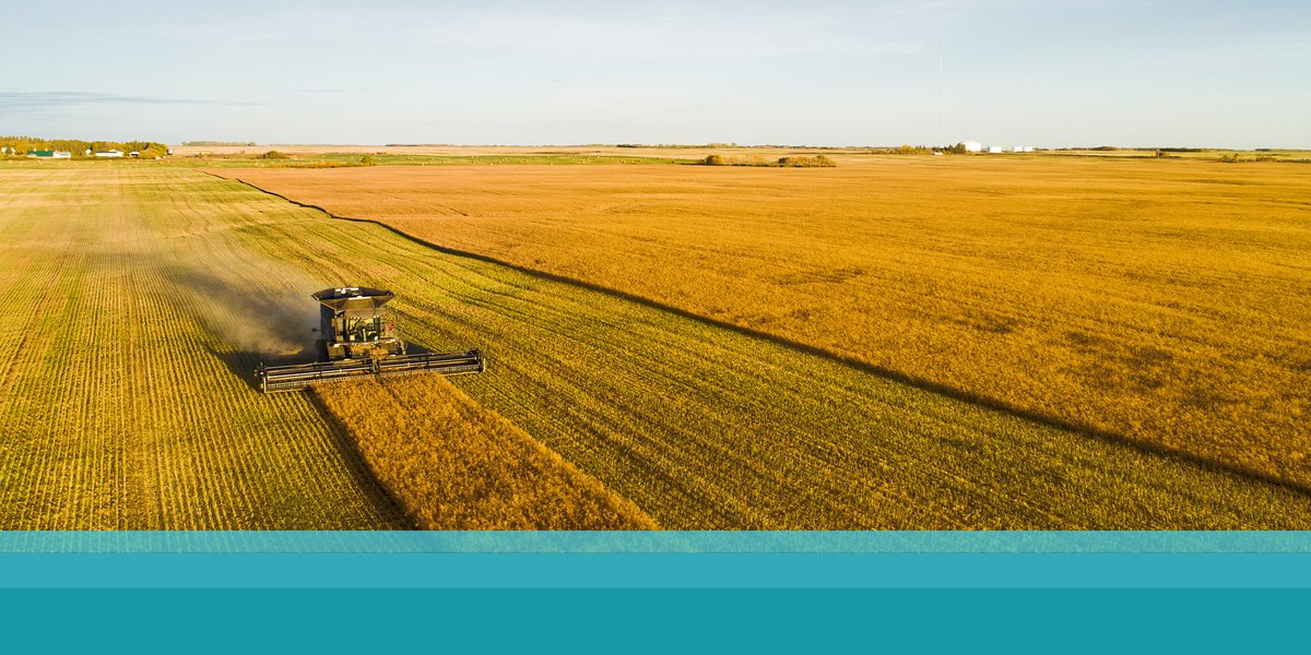 CWB National Leasing (@nationalleasing) on Twitter photo It’s #CdnAgDay! We and our parent company, <a href="/CWBcommunity/">Canadian Western Bank</a> have deep roots in agriculture, so we want to take a moment to celebrate the resilient spirit of Canadian farmers.
Thank you for bringing food to our tables and warmth into our communities! It’s #CdnAgDay! We and our parent company, <a href="/CWBcommunity/">Canadian Western Bank</a> have deep roots in agriculture, so we want to take a moment to celebrate the resilient spirit of Canadian farmers.
Thank you for bringing food to our tables and warmth into our communities!