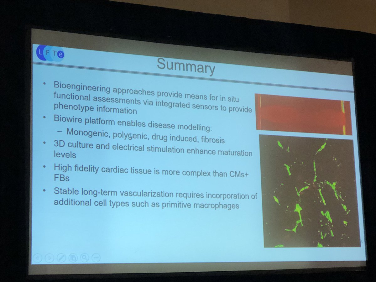 SeanM_Wu's tweet photo. Milica Radisic @ U of Toronto describe the use of engineered tissue to model disease phenotype & create vascularized constructs @ #KeystoneSymposia on Cardiac Dev & Dz. macrophages are important player in EHT vascularization! @EpelmanLab https://t.co/o4Q2BokDdj