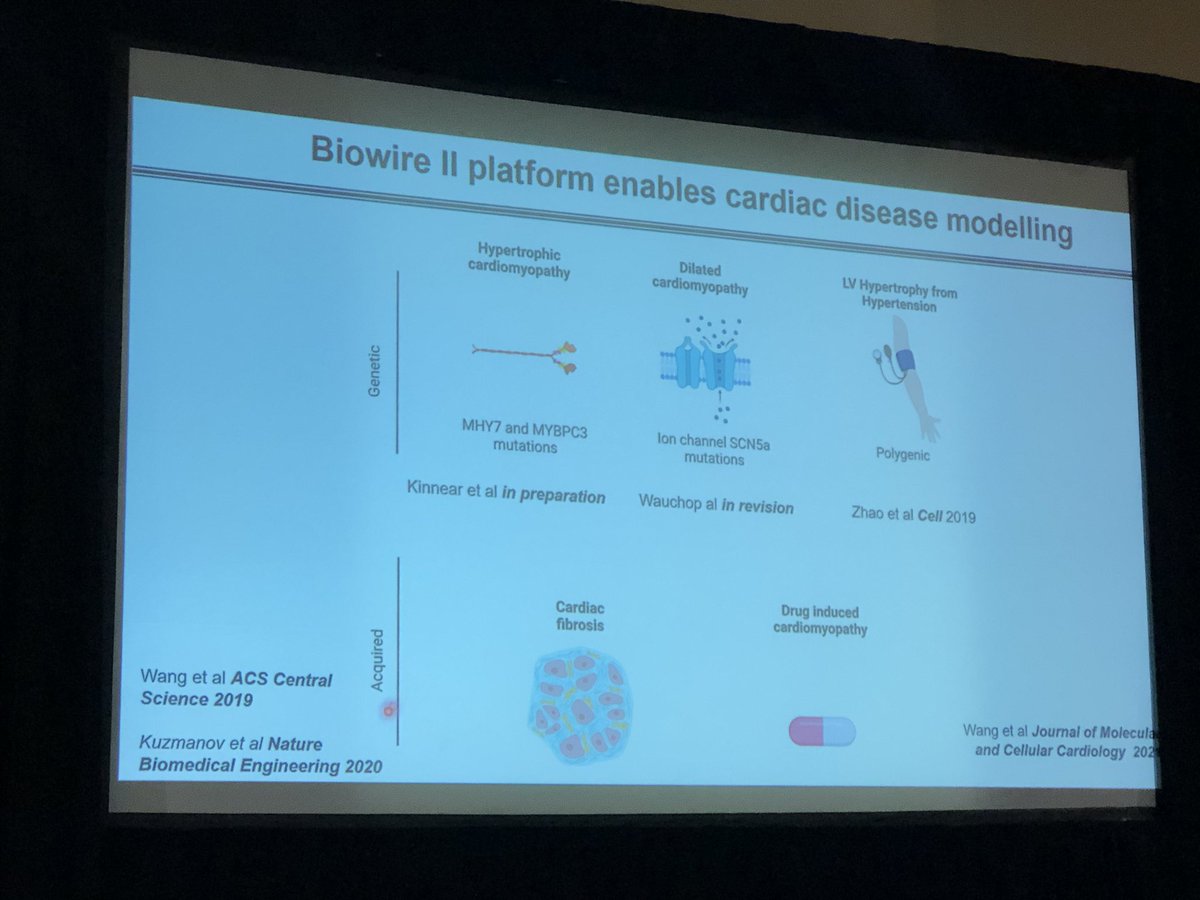 SeanM_Wu's tweet photo. Milica Radisic @ U of Toronto describe the use of engineered tissue to model disease phenotype & create vascularized constructs @ #KeystoneSymposia on Cardiac Dev & Dz. macrophages are important player in EHT vascularization! @EpelmanLab https://t.co/o4Q2BokDdj