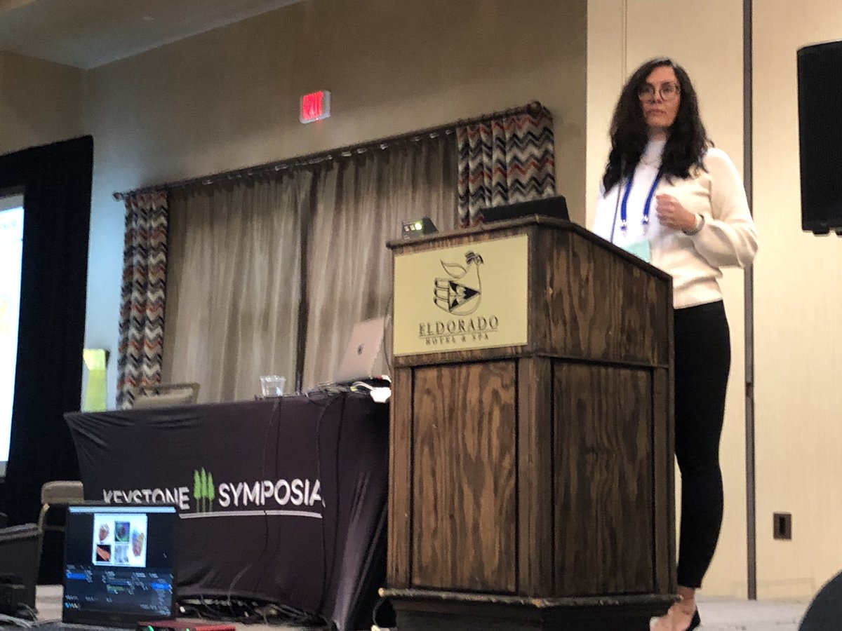 SeanM_Wu's tweet photo. Milica Radisic @ U of Toronto describe the use of engineered tissue to model disease phenotype & create vascularized constructs @ #KeystoneSymposia on Cardiac Dev & Dz. macrophages are important player in EHT vascularization! @EpelmanLab https://t.co/o4Q2BokDdj