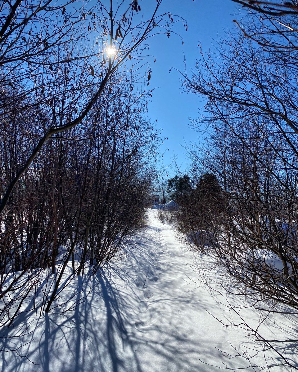 The teachers of <a href="/woodlandprim/">Woodland Primary School</a> rock. Our teachers are kind and compassionate, we make connections with other organizations like to foster empathy. We take every opportunity to allow our children be outdoors. This photo was from my PE class today@NLTeachersAssoc  #NLTeachersRock