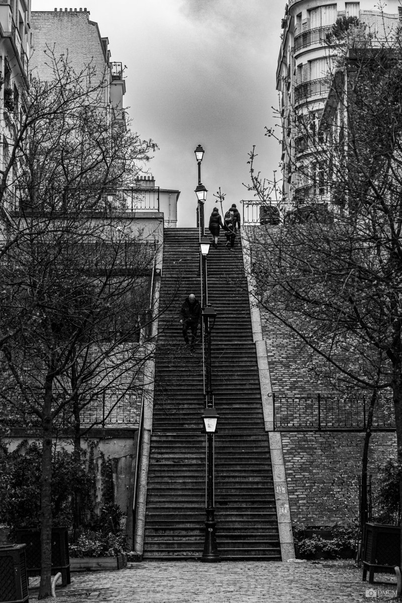 dmcmphoto's tweet photo. Rue du Mont Cenis, Paris

#photograghy #Paris #blackandwhite https://t.co/4SzhxbAkwV