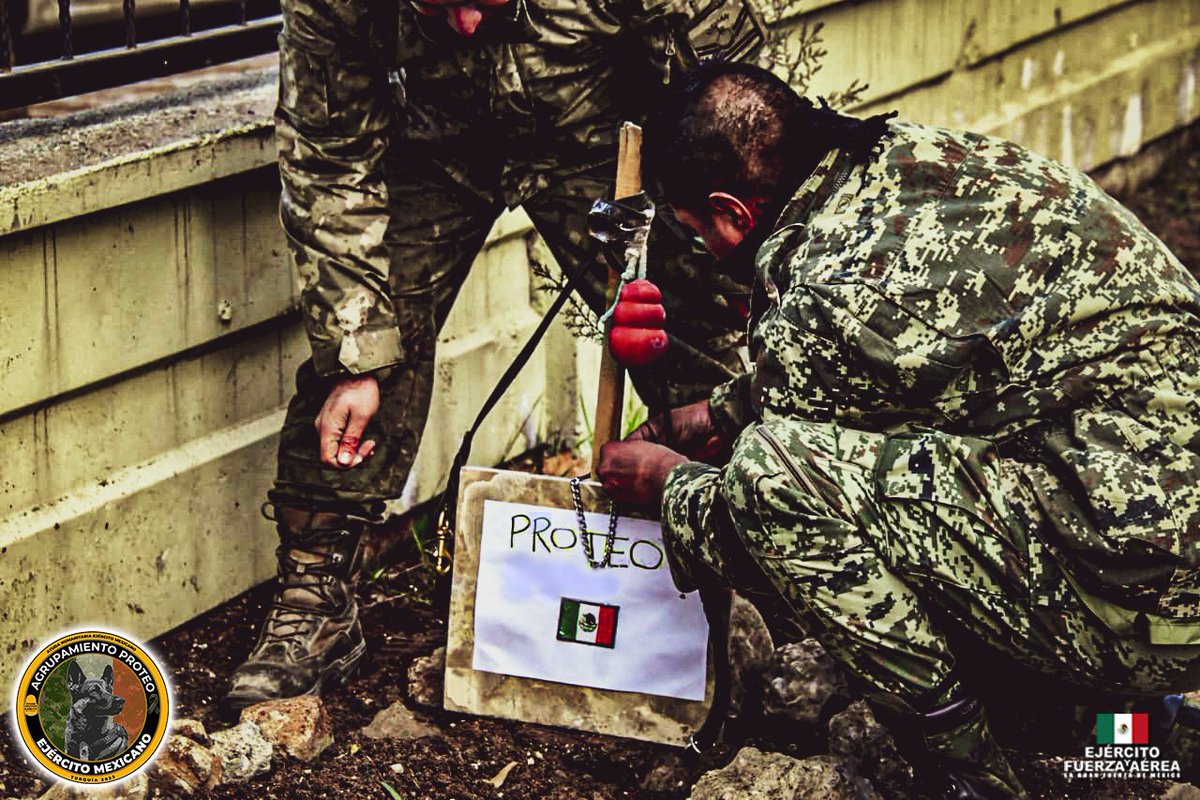 Defensamx1's tweet photo. #Proteo te esperamos en casa, porque un soldado al cumplir su misión, regresa a su hogar, a nuestro #MéxicoLindoYQuerido.
Tus compañeros del #EjércitoMexicano y #FuerzaAéreaMx estamos orgullosos de ti, nuestro gran #héroe.

#UnidosSomosLaGranFuerzaDeMéxico 
#TürkiyeTekYürek https://t.co/rrfmyq2Jf0