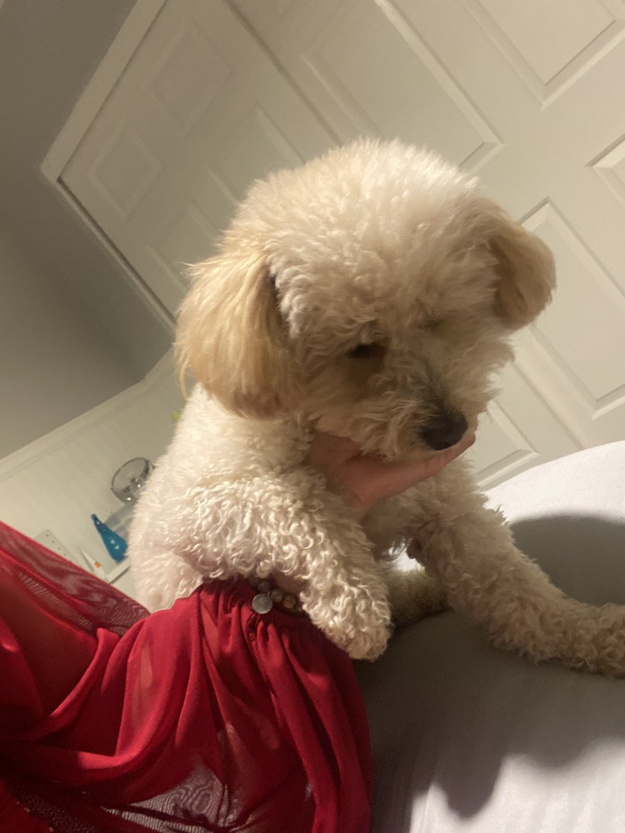 foreverlaissa's tweet photo. “mom don’t go out w. dad, stay home w. me” https://t.co/ocqNc6uc44