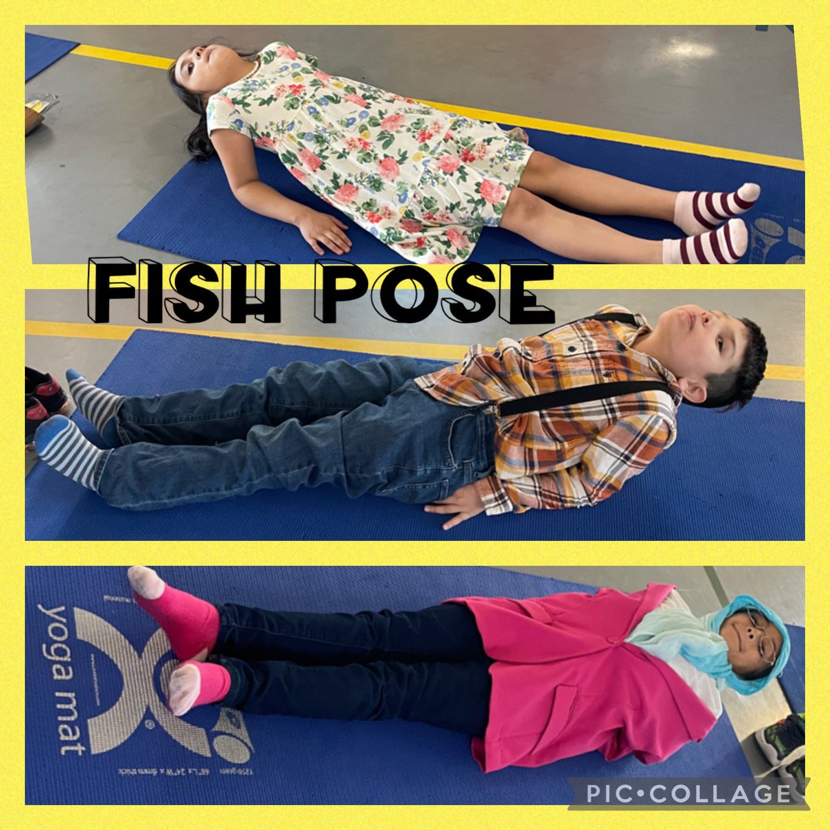 yoginiyegros's tweet photo. @PS66JKO celebrated 100 days of school with some Yoga fun!!! 👵🏼🧘🏽♀️🤗🥰#yogaforseniors #yogabingo #fishpose #smilesallaround #100daysoffitness #100yearsoffriendship
@501ps66 @class502 @2ndGradeJKO @3KGrowLearnPlay https://t.co/3hORi5Q0sW