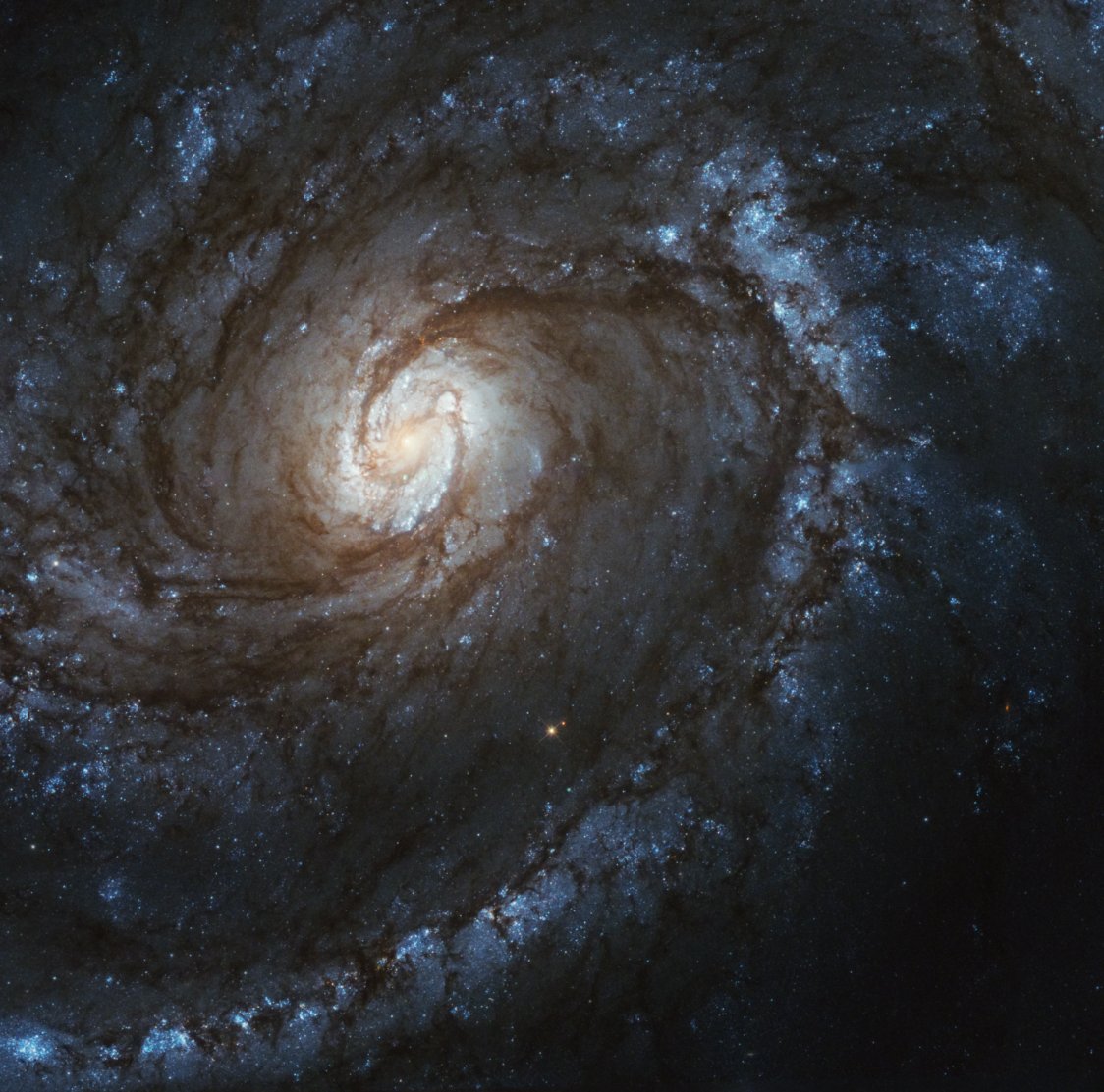 NASAHubble's tweet photo. A spiral of stars 🌀

A few months after the final Hubble servicing mission, the telescope took this #HubbleClassic image of the spiral galaxy M100.

It’s classified as a grand-design spiral galaxy because of its two prominent lanes of young, blue stars: https://t.co/8lkdT9RL7a https://t.co/Vma3Ld523l