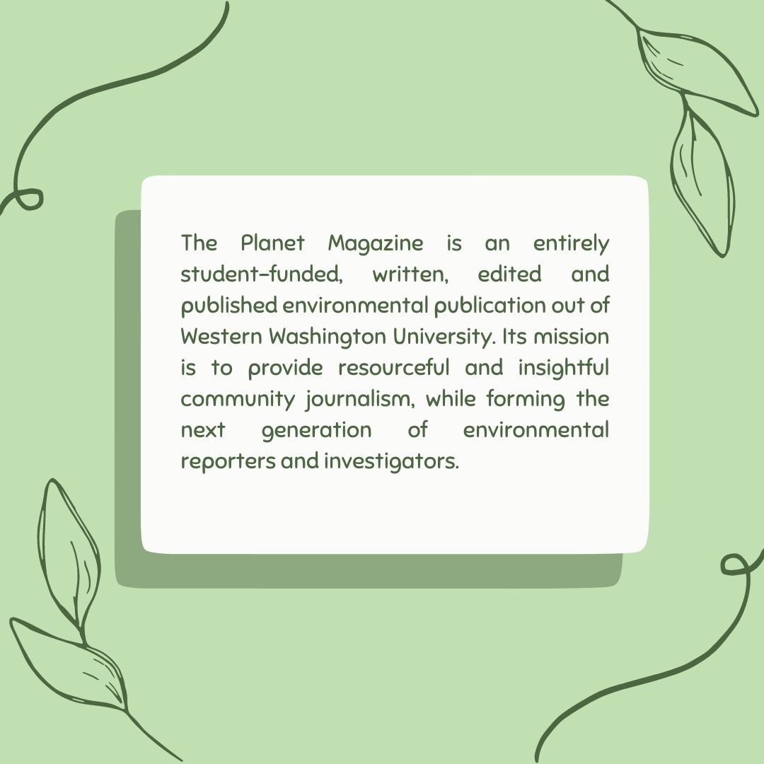 The Planet Magazine tweet media