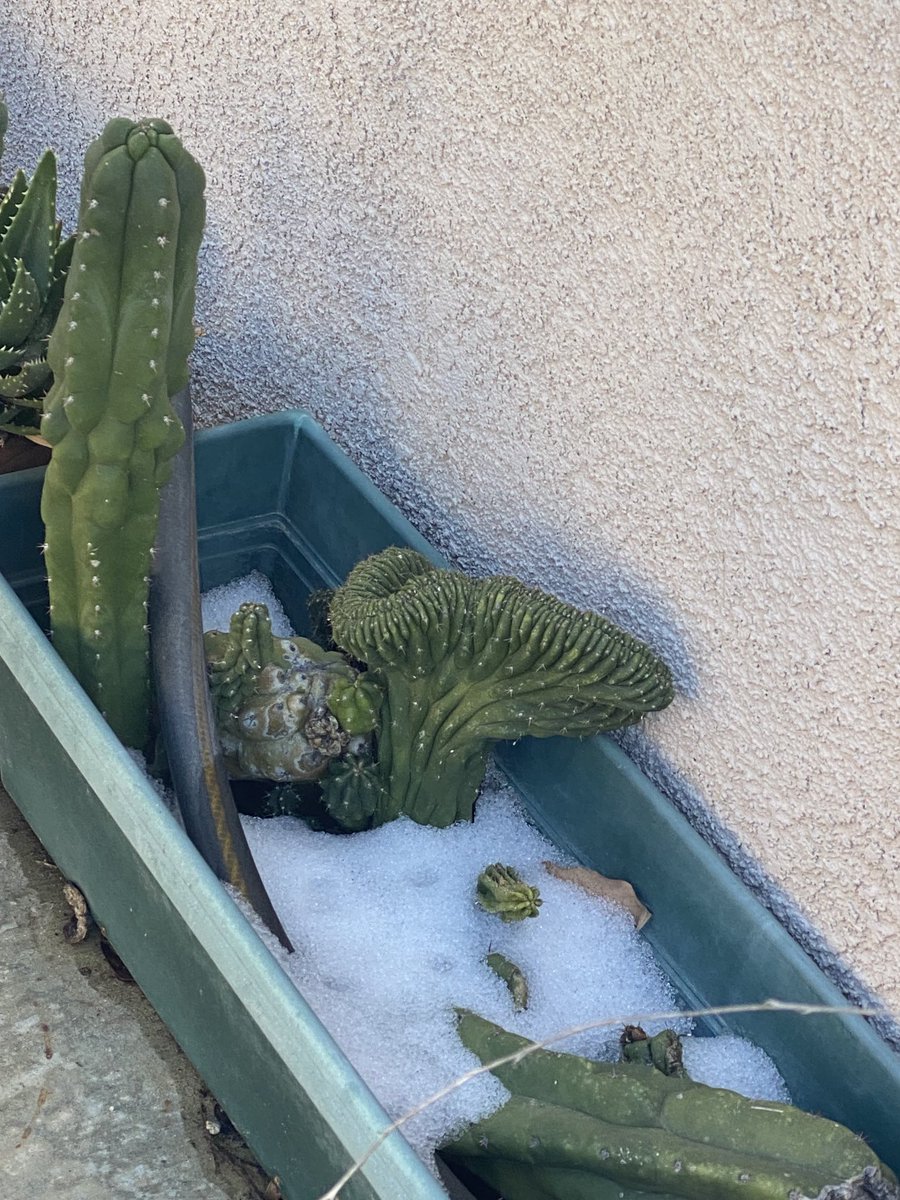 EricFig1's tweet photo. There was a point yesterday when the hail did turn to snow. https://t.co/KDrf4Tyi3B