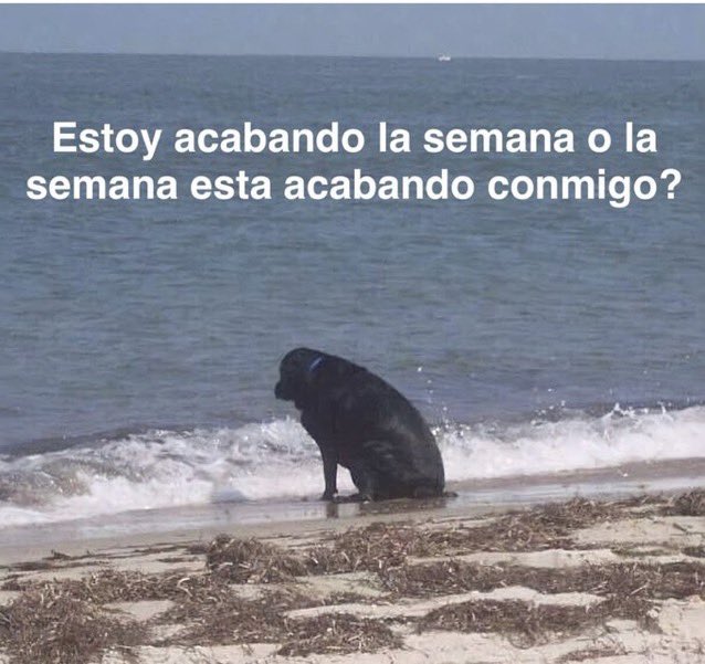 marcos🌪️ (@marcxssm) on Twitter photo 