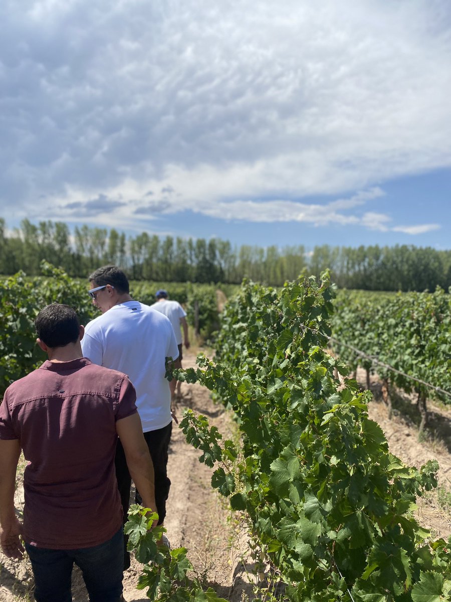 Gran semana de trabajo en Mendoza, previo a vendimia.
Planificando nuevos proyectos y todo lo que viene en @2456wines.
Nada más lindo que emprender con amigos y desde Mendoza.
#malbec #Mendoza #2456wines #vino #hotel #gualtallary
