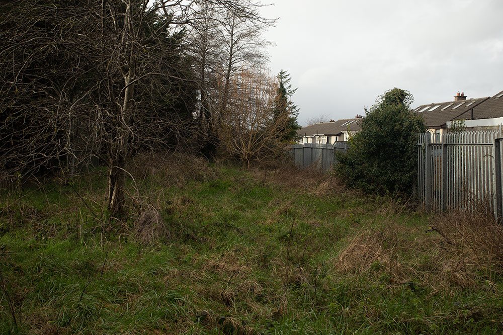GardenPlanta's tweet photo. Excited to see what becomes of these spaces in the coming years, as we embark on a long term biodiversity project @roundtowers GAA club, kindly supported by Trees on the land, to remove non native plants/trees, replace them with native trees, hedgerow &amp; two orchards #nativetrees https://t.co/bJ0o9U4efl