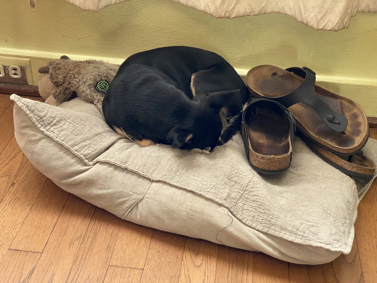 nellardoventure's tweet photo. @IanColdwater How about a thief of left shoes? https://t.co/iYdIN50ax5
