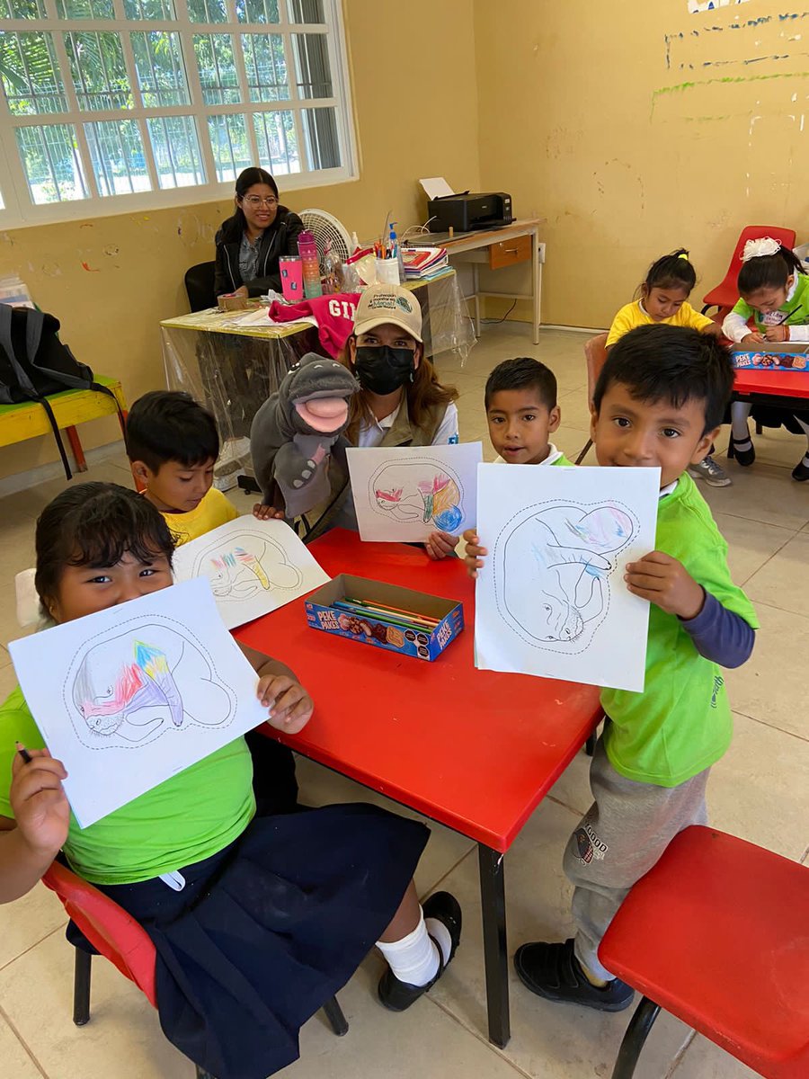 Corredor Biocultural del Manatí tweet media