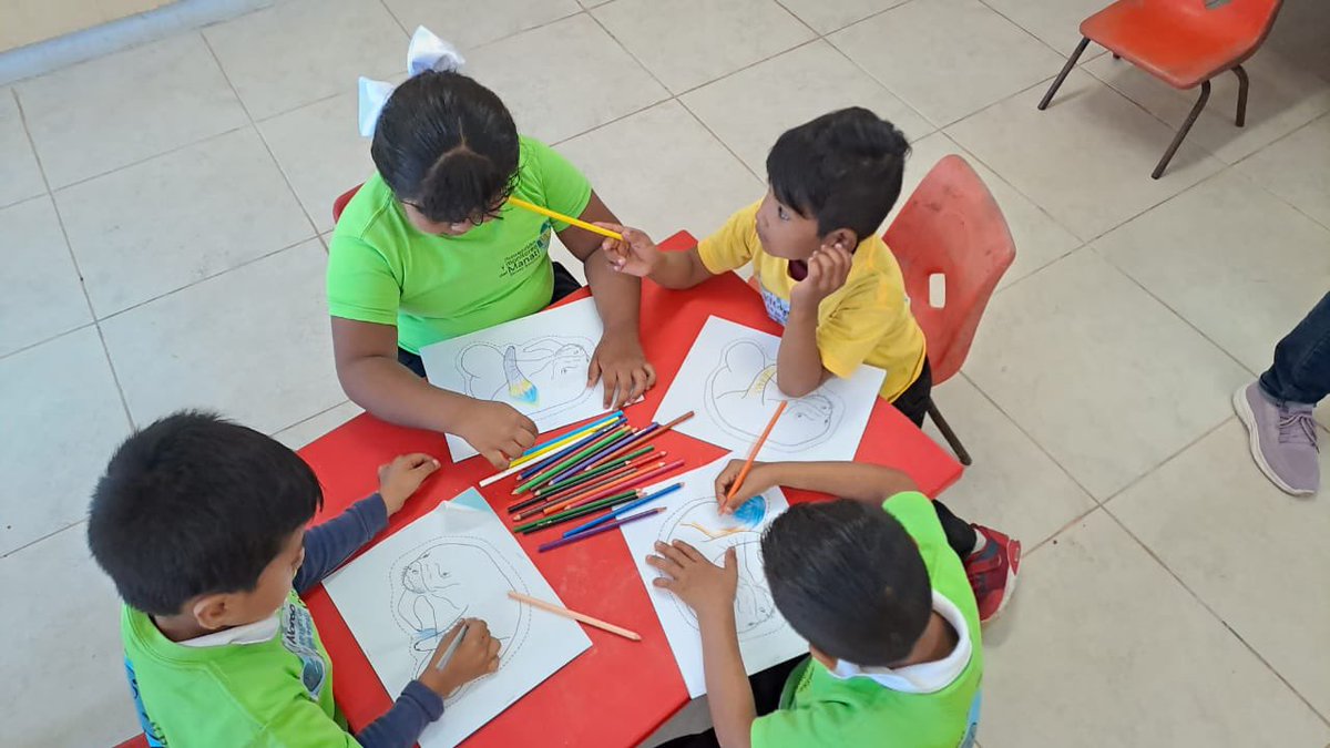 Corredor Biocultural del Manatí tweet media