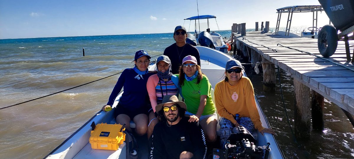 Corredor Biocultural del Manatí tweet media