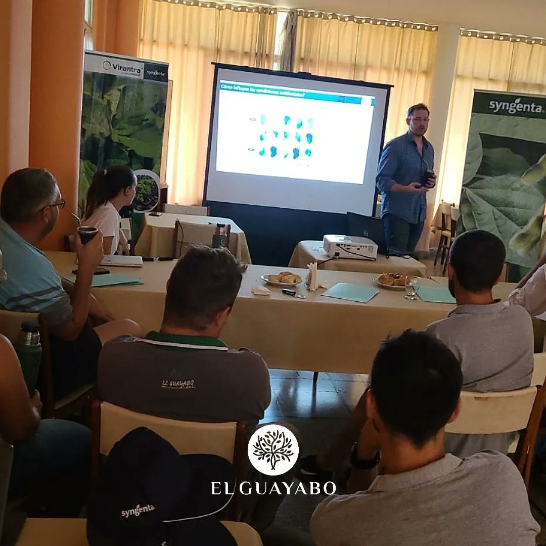ElGuayaboSRL tweet media