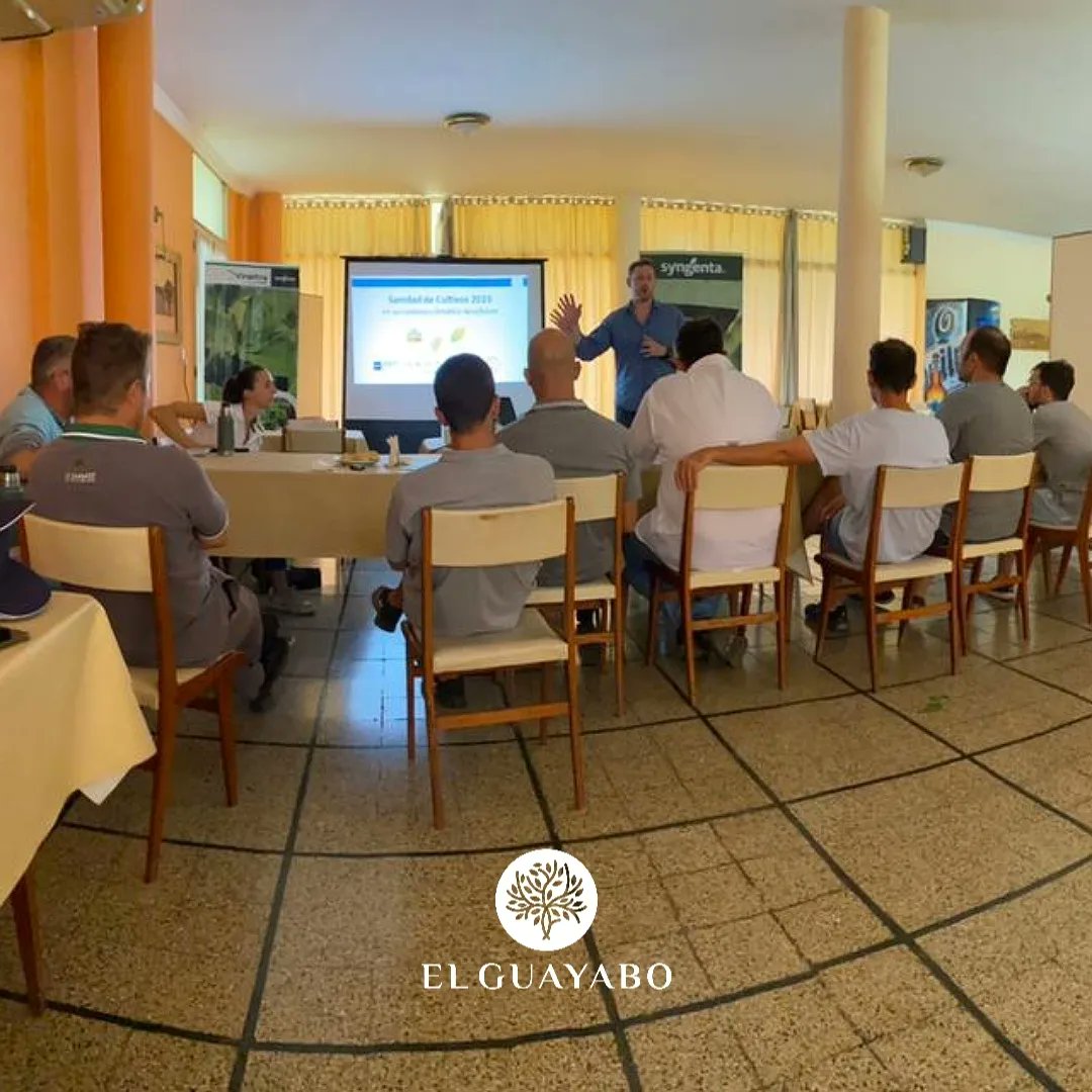 ElGuayaboSRL tweet media