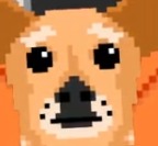 cattogames's tweet photo. @powerguygg What Da Dog Doin https://t.co/5ptvcOtb1Q