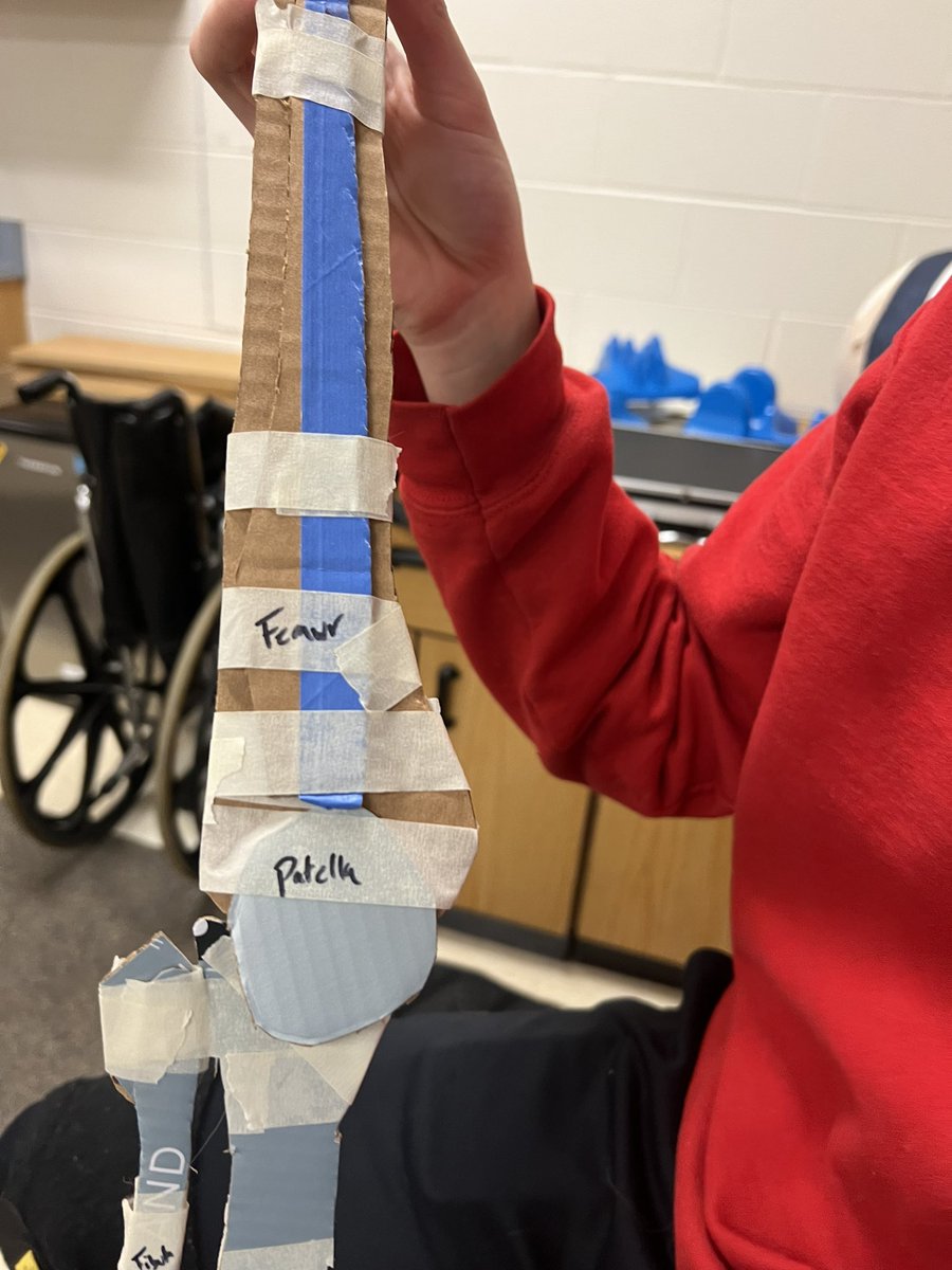 AAPS PE & Health (@aapspeandh) on Twitter photo Skyline’s Sports Med students working hard to learn their musculoskeletal anatomy. Getting ready for their next steps post graduation or for Sports Med II class where they will apply their knowledge. <a href="/A2schools/">A2 Public Schools</a> @A2SchoolsSuper <a href="/SkylineHighA2/">Skyline High School</a> Skyline’s Sports Med students working hard to learn their musculoskeletal anatomy. Getting ready for their next steps post graduation or for Sports Med II class where they will apply their knowledge. <a href="/A2schools/">A2 Public Schools</a> @A2SchoolsSuper <a href="/SkylineHighA2/">Skyline High School</a>