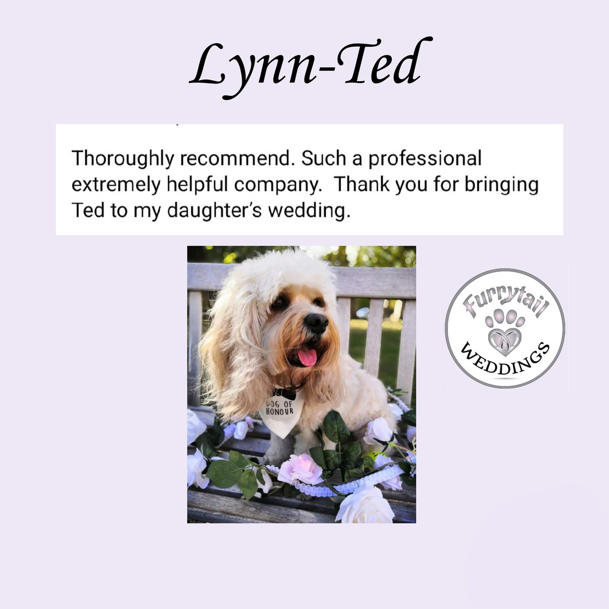 Kent's top rated chaperone company. Don't take our word for it though, check out our reviews! We take care of all your pet's needs so everyone can enjoy the day, all while including your beloved pets. We cover Kent, Sussex, Surrey, Essex, and London. Other areas considered