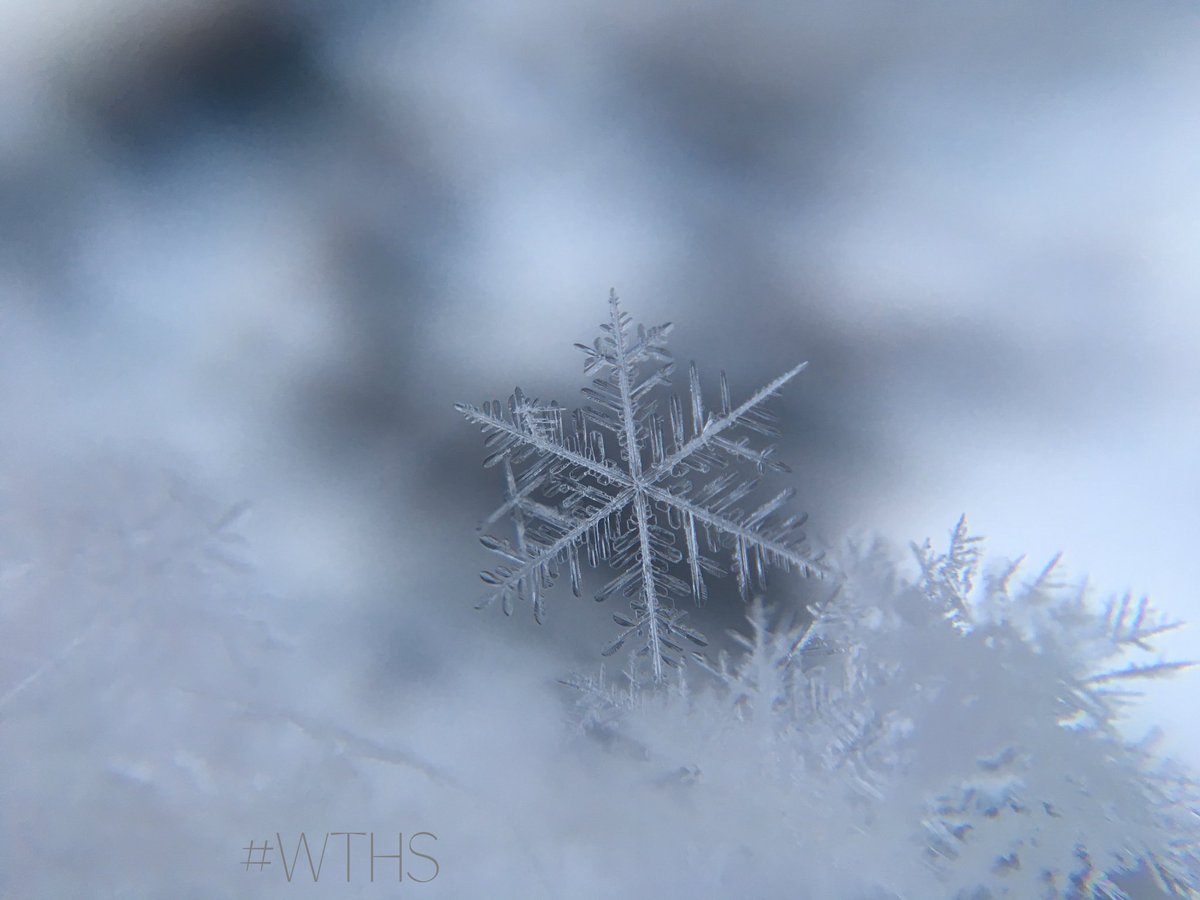 wthsdistrict121's tweet photo. Attn Warren Families: Due to possible weather conditions tomorrow, WTHS may hold an eLearning Day. 

IF we do have an eLearning day, you will be notified by 5:30am.

Students were instructed to bring home their Chromebooks. 

Check email for more information. https://t.co/UmKJdVathh