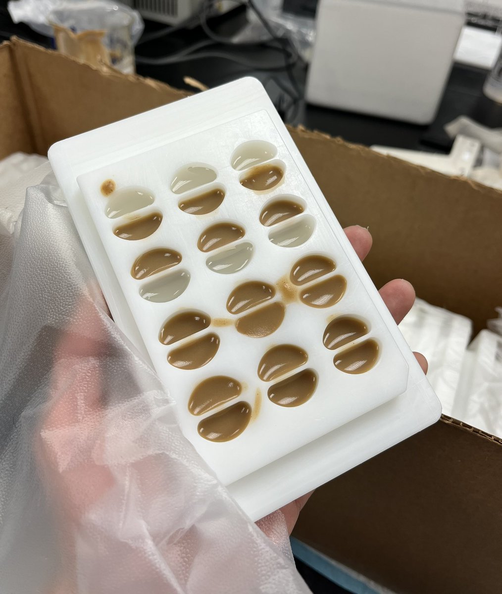 One of the things we are interested in the lab is how food choices shape the longevity and health of animals. Today is the first time that my students made the food choice plates that allow animals to choose between sugar and protein during their entire life...