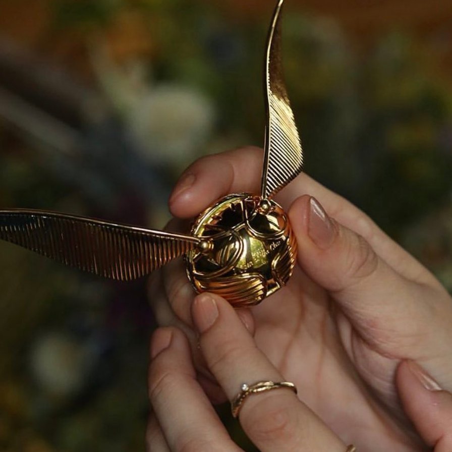 Gringotts's tweet image. Así se pide matrimonio.