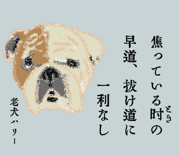 #老犬のひとりごと 02 