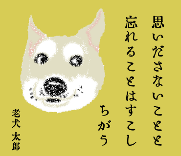 #老犬のひとりごと 02 