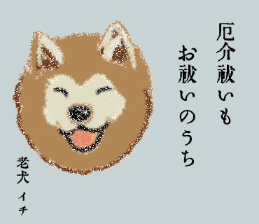 #老犬のひとりごと 02 