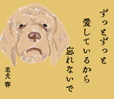 #老犬のひとりごと 04(終) 