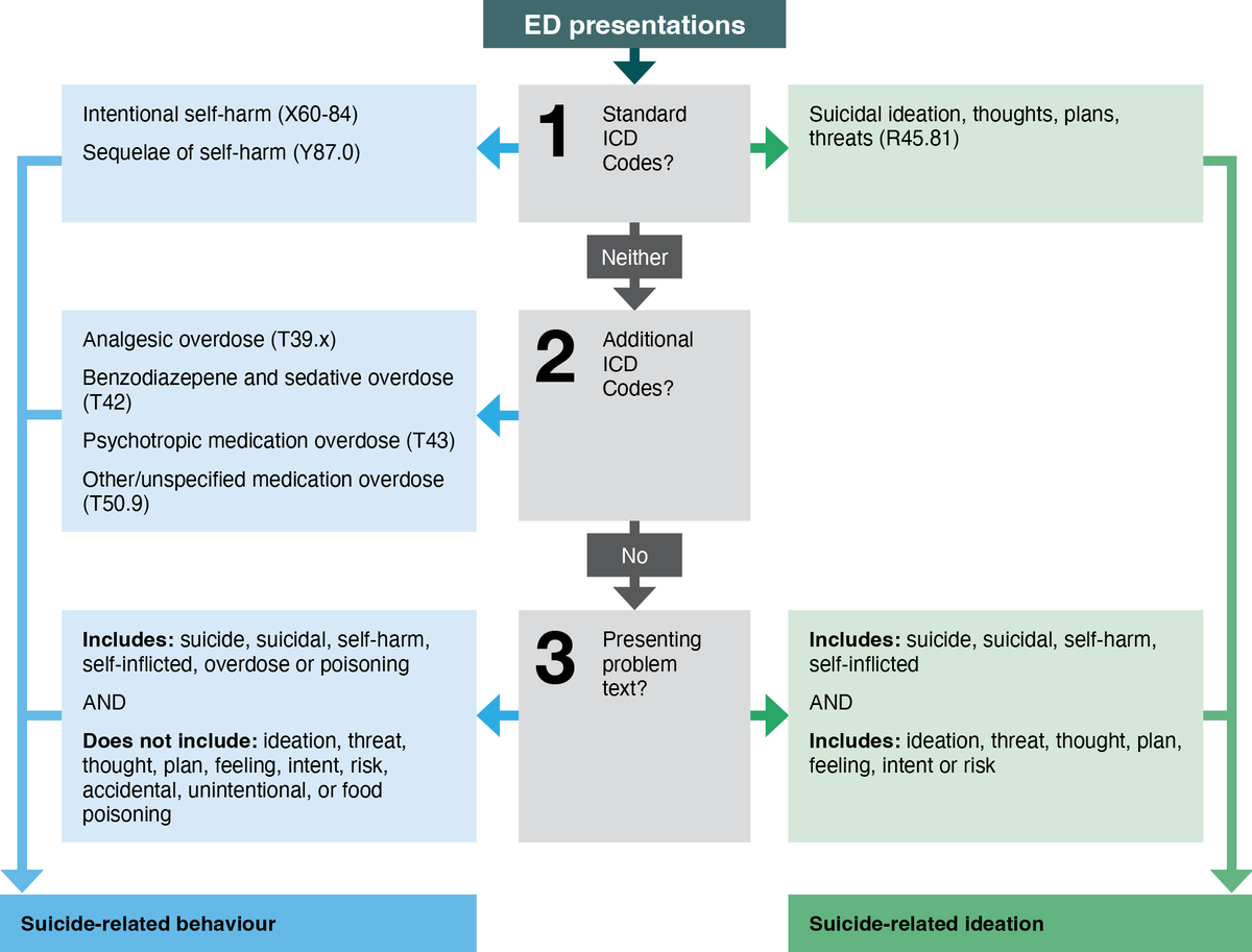 Grant Sara tweet media