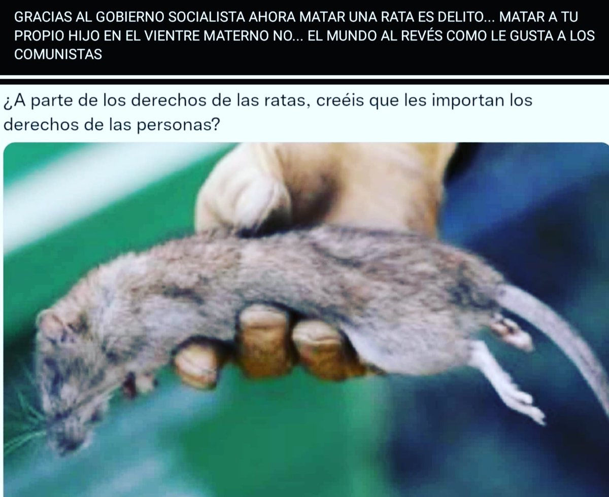 PadeLibre17's tweet photo. @MinDeLaVerdad https://t.co/oOPV1haUHn