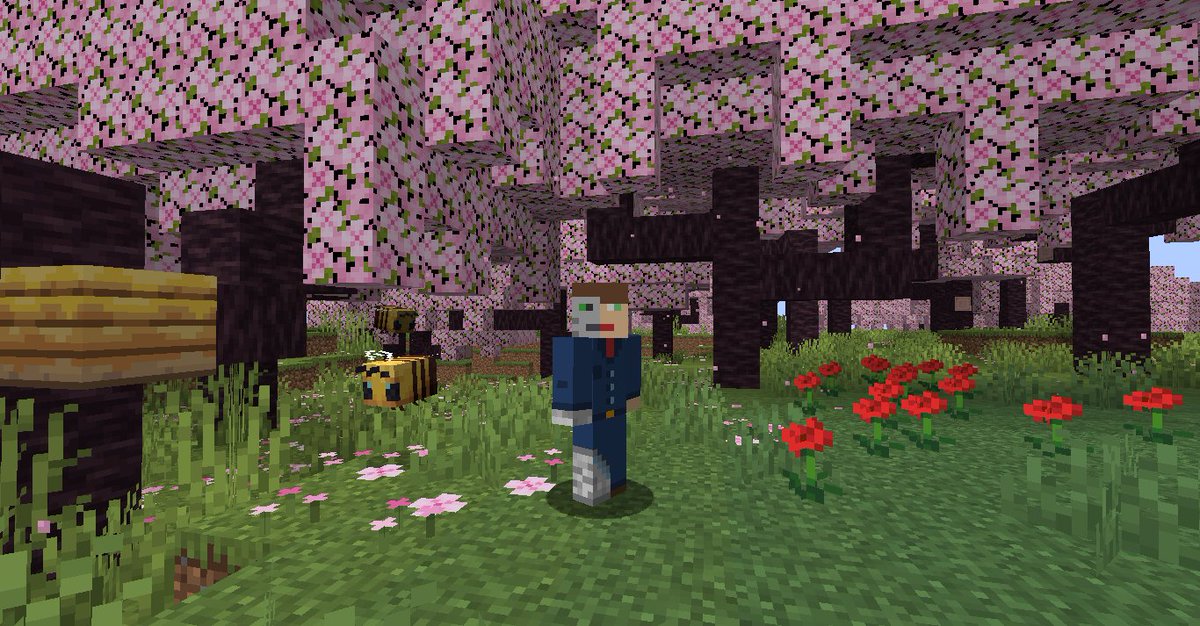 MatStudiosCo's tweet image. Cherry trees in #minecraft! Looks pretty cool! After bump to 1.20 i have to made a *typical anime school &amp;amp; street* in the city. Btw. time to check if #minetest have ones.