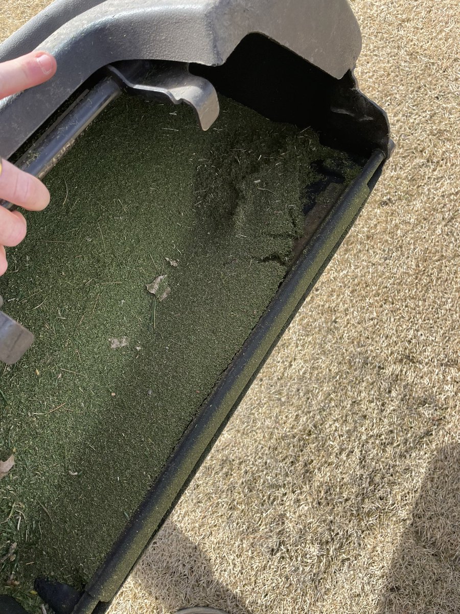 Jeff Sexton, CGCS (@eccsuper77) on Twitter photo Took advantage of a 70 degree day in February to make a slight height adjustment and to provide a fresh clip to 11 of our new <a href="/T2GBentgrass/">Tee-2-Green</a> Pure Distinction greens. Slick as glass. <a href="/T2GTurfGuy/">Lewis Sharp</a> Took advantage of a 70 degree day in February to make a slight height adjustment and to provide a fresh clip to 11 of our new <a href="/T2GBentgrass/">Tee-2-Green</a> Pure Distinction greens. Slick as glass. <a href="/T2GTurfGuy/">Lewis Sharp</a>